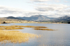 SOCIAL MEDIA - 9:16 Landscape, Geehi