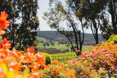 SOCIAL MEDIA 9:16 - Courabyra Wines, Tumbarumba