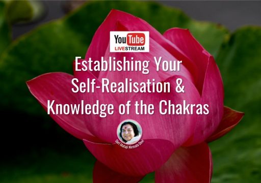Video now available from Establishing Self Realisation & the Chakras webcast